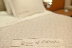 Queen of Salmakis, Luxury Gulet Queen of Salmakis (10)